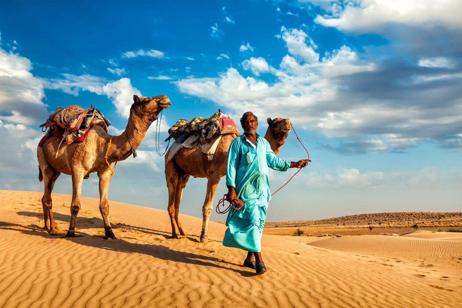 Rajasthan travel background - Indian cameleer (camel driver) with camels in dunes of Thar desert. Jaisalmer, Rajasthan, India